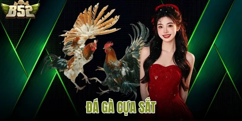 Đá gà cựa sắt B52