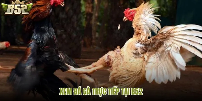 Những thông tin cần tiếp cận một cách khách quan